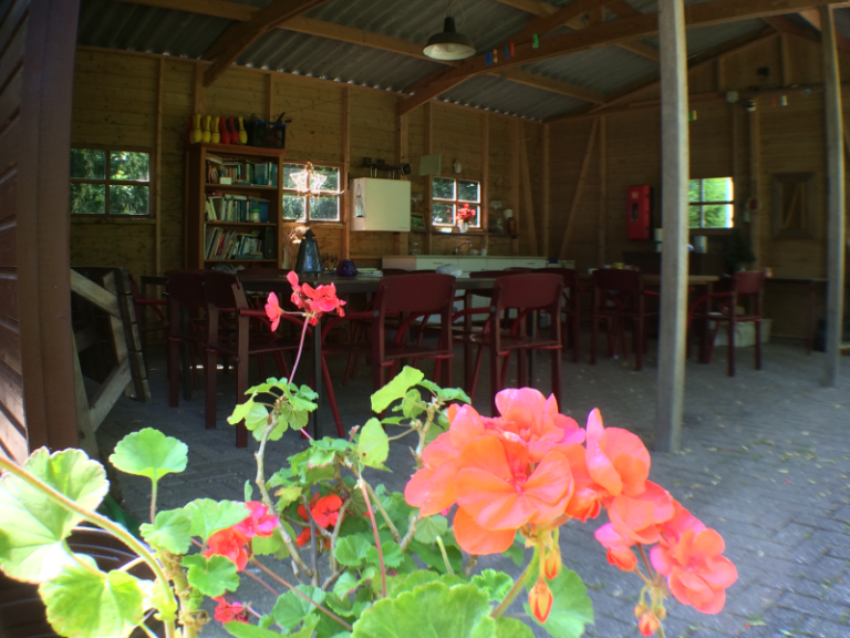 Carrousel Camping 2016_06_07_IMG_8987_800x600