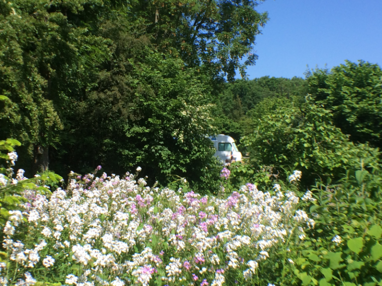 Carrousel Camping 2016_06_07_IMG_8991_800x600